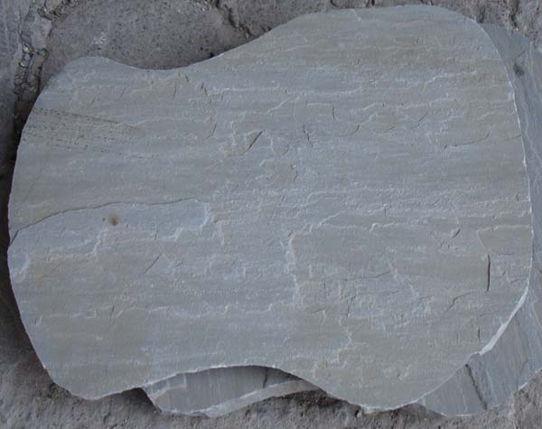 Autumn Grey (Sandstone) Stepping Stone